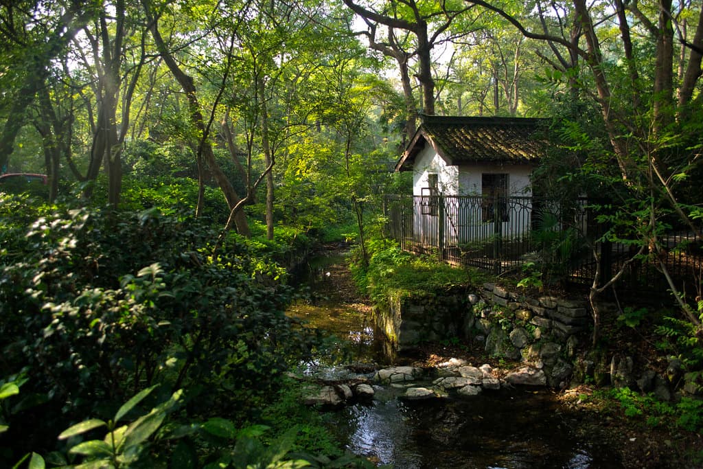 #6 Hangzhou — Top 10 Chinese Cities to Visit in 2026
