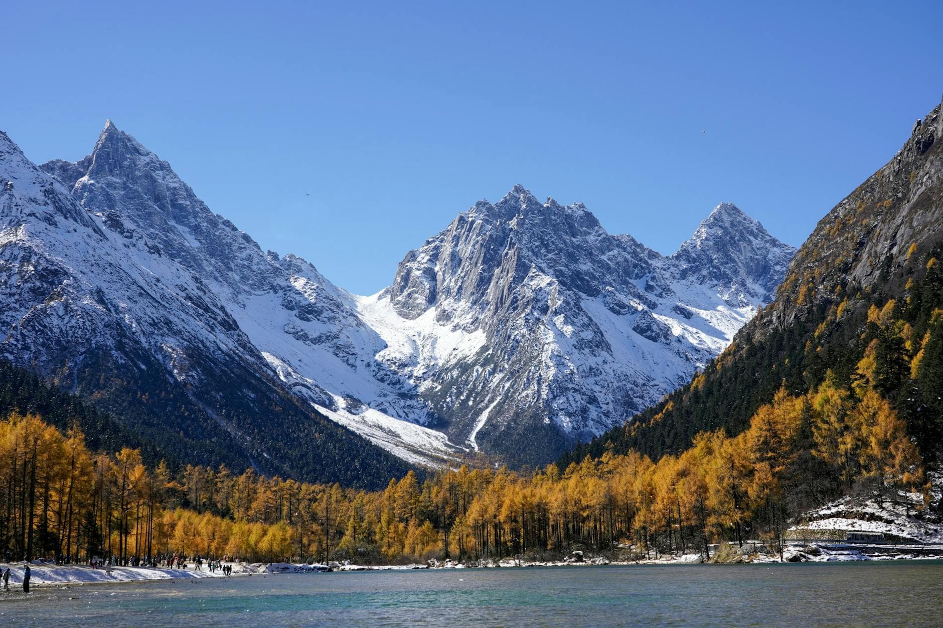 #8 Yellow Mountain Fur Peak (Huangshan Maofeng) — Top 10 Chinese Teas