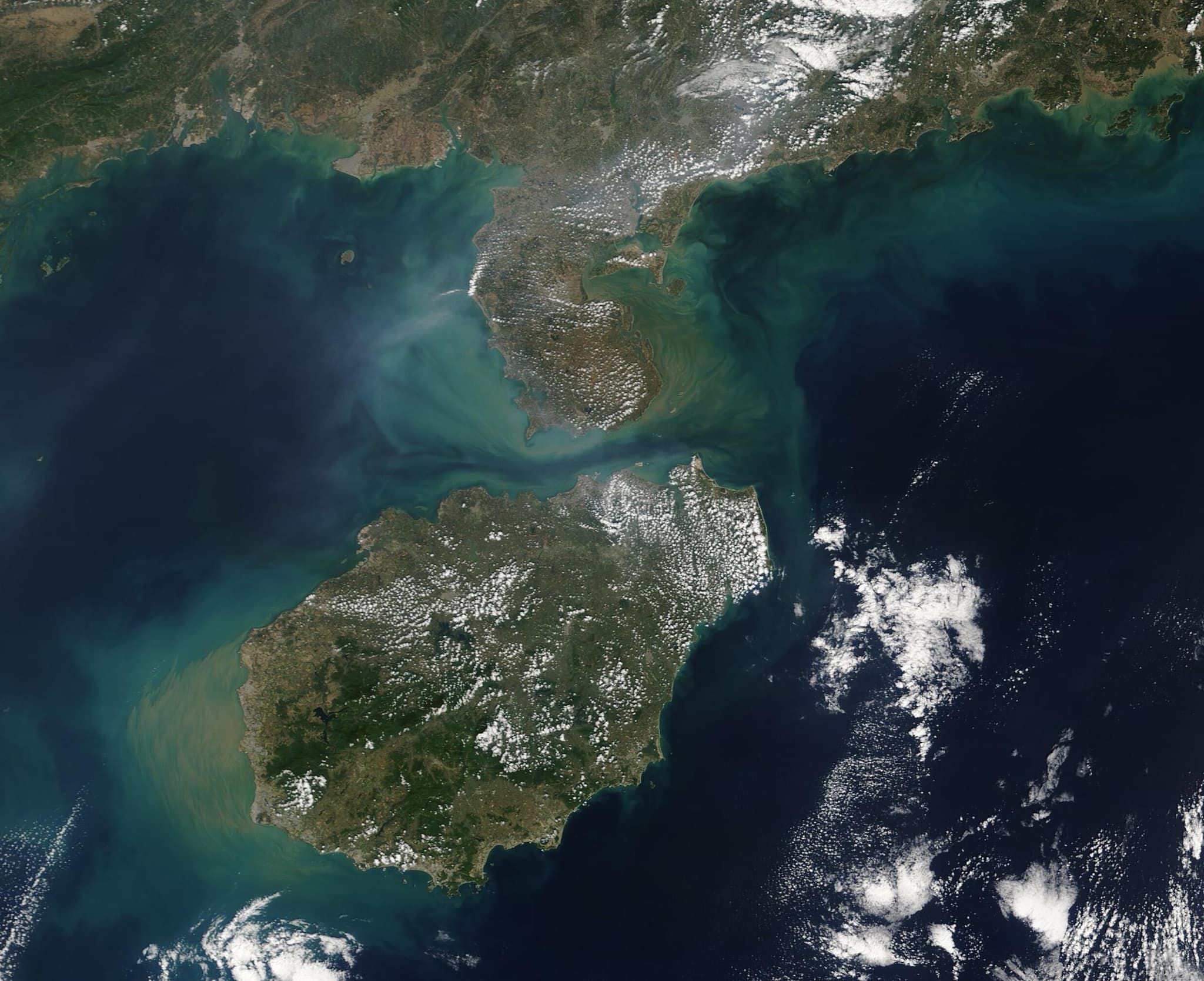 #7 Hainan Tropical Rainforest — Top 10 Chinese Nature Destinations