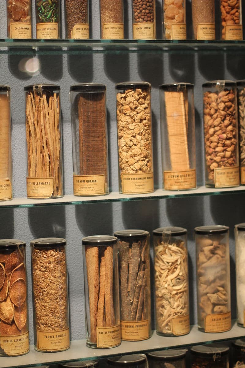 #9 Chinese Dietary Therapy — Top 10 Chinese Traditional Medicine and Wellness Practices Worth Trying