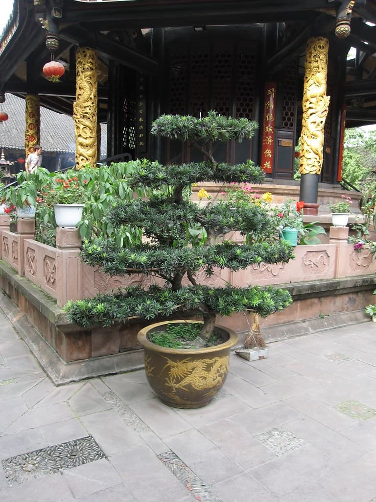 #8 The Temple House, Chengdu — Top 10 Chinese Luxury Hotels