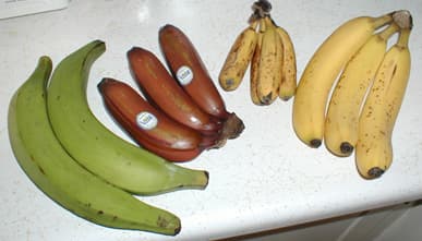 #8 Grilled Banana (Kluay Ping) — Top 10 Thailand Street Food Experiences in 2026