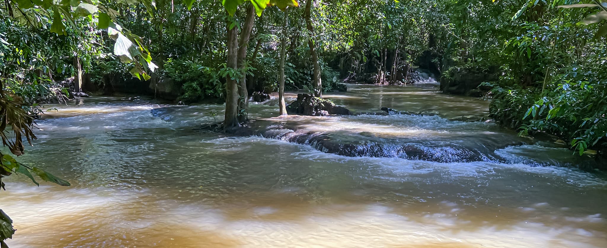 #10 ThanBok Khorani National Park — Top 10 National Parks in Thailand in 2026