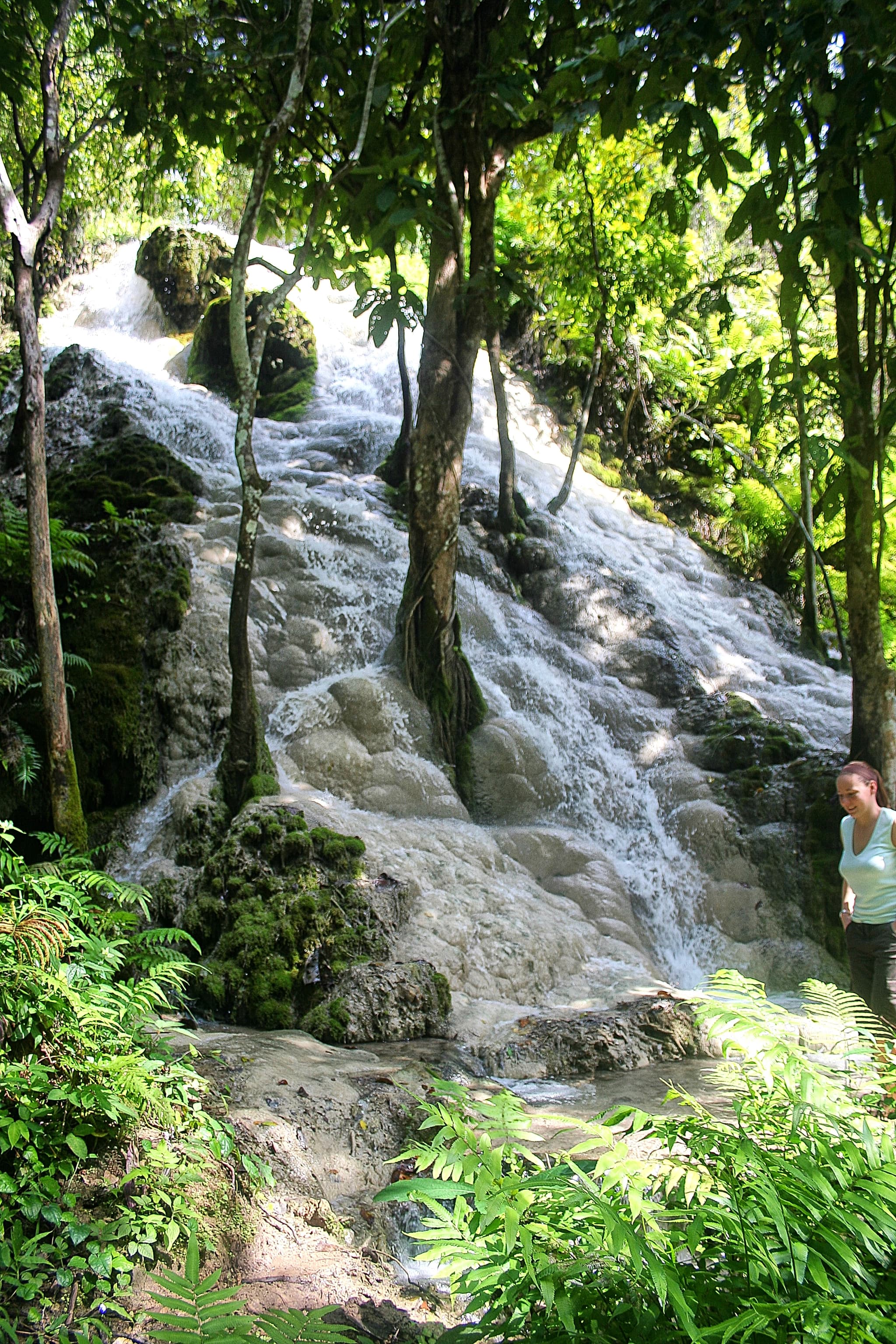 #7 Sticky Waterfall (Bua Tong) — Top 10 Chiang Mai Experiences in 2026