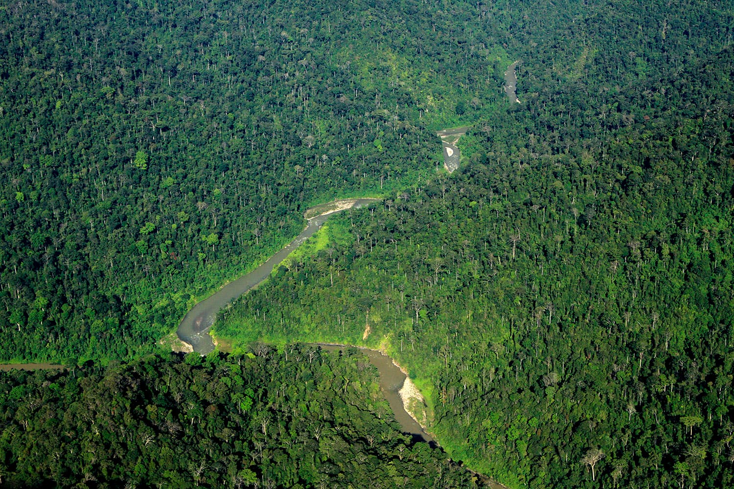 #2 Gunung Leuser National Park — Top 10 Indonesian National Parks in 2026