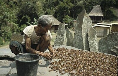 #3 Java Coffee — Top 10 Indonesian Coffees in 2026
