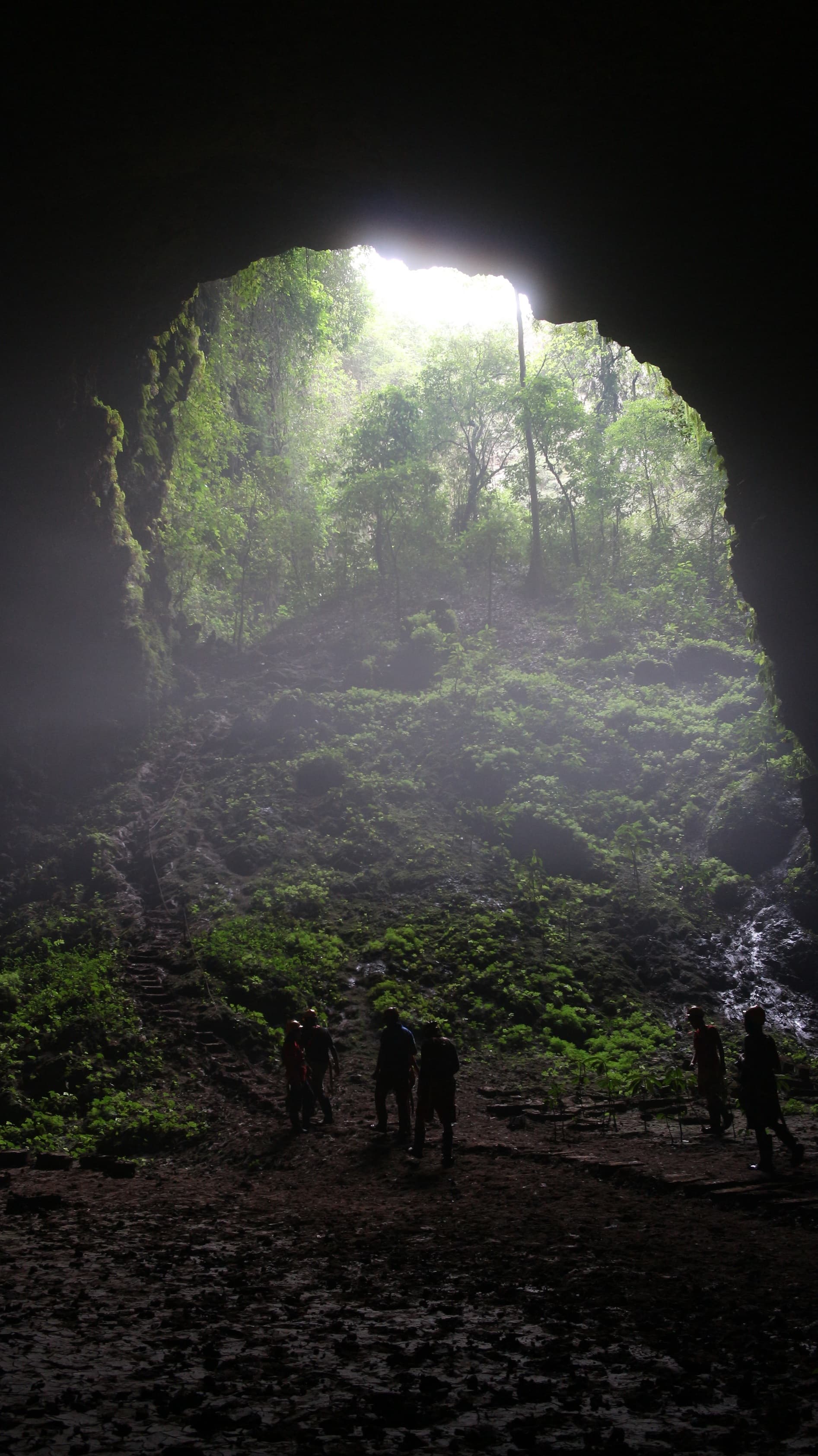 #9 Jomblang Cave — Top 10 Things to Do in Yogyakarta in 2026