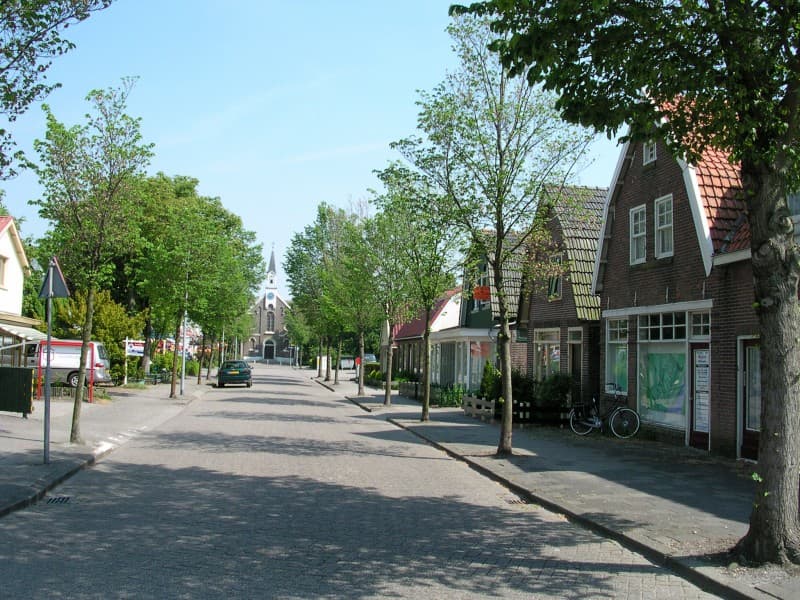 #10 Anna Paulowna Tulip Route — Top 10 Tulip & Flower Experiences in the Netherlands 2026
