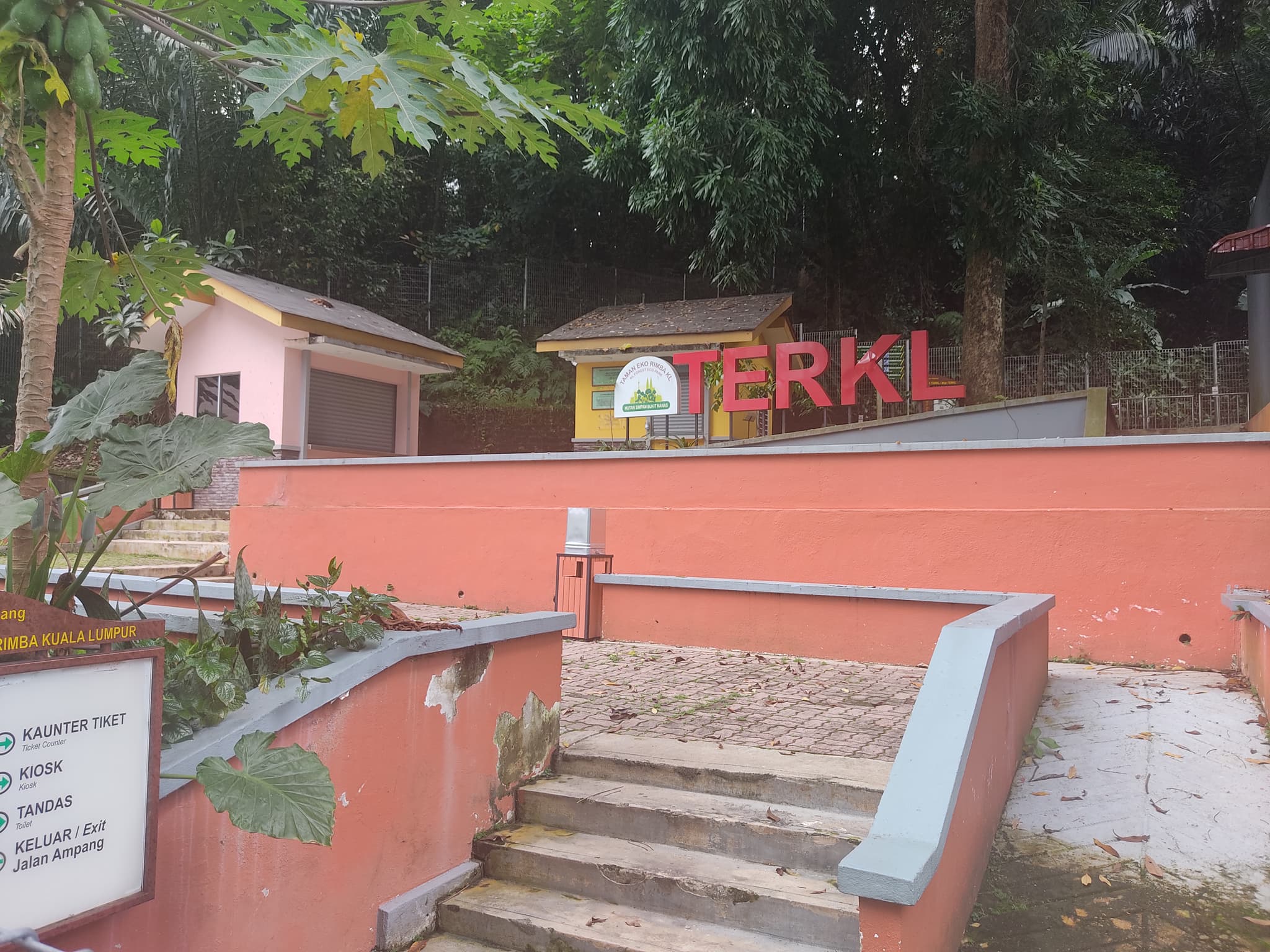 #7 KL Forest Eco Park (Bukit Nanas) — Top 10 Things to Do in Kuala Lumpur in 2026
