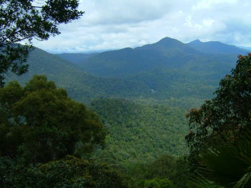 #5 Endau-Rompin National Park, Johor — Top 10 Malaysian Rainforest & Wildlife Experiences in 2026