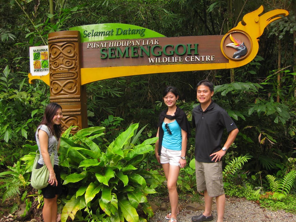 #7 Semenggoh Orangutan Sanctuary, Sarawak — Top 10 Malaysian Borneo Experiences in 2026