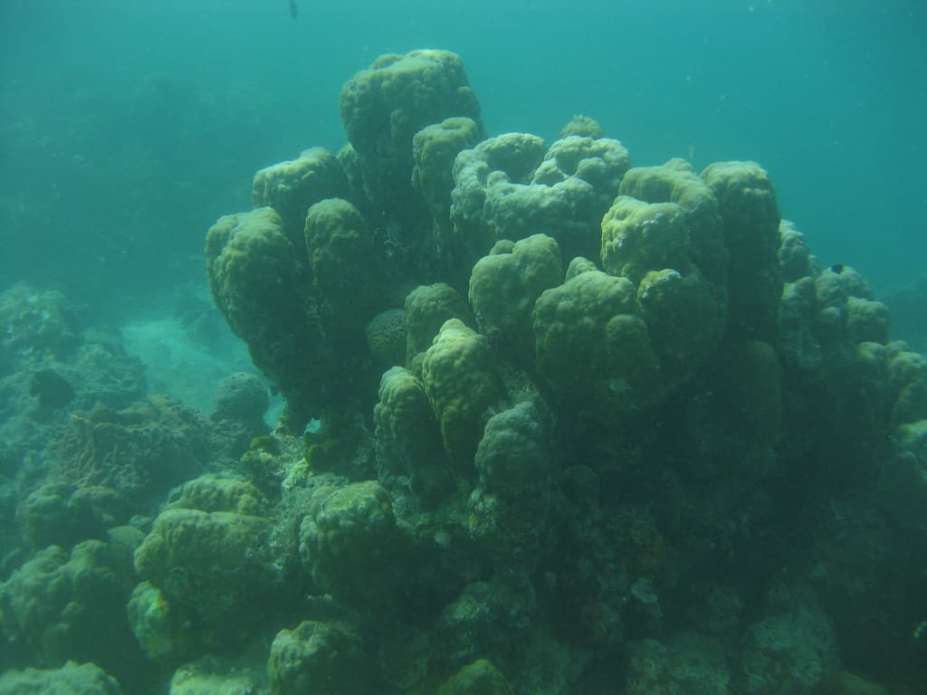 #6 Island Hopping & Snorkelling — Top 10 Things to Do in Langkawi in 2026