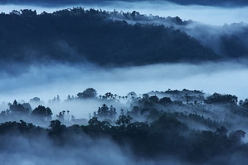 #8 Nantou Sun-Grown Coffee Farms — Top 10 Cafés and Coffee Experiences in Taiwan in 2026