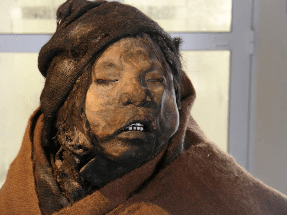 #5 Tour the MAAM & Llullaillaco Mummies — Top 10 Things to Do in Salta in 2026