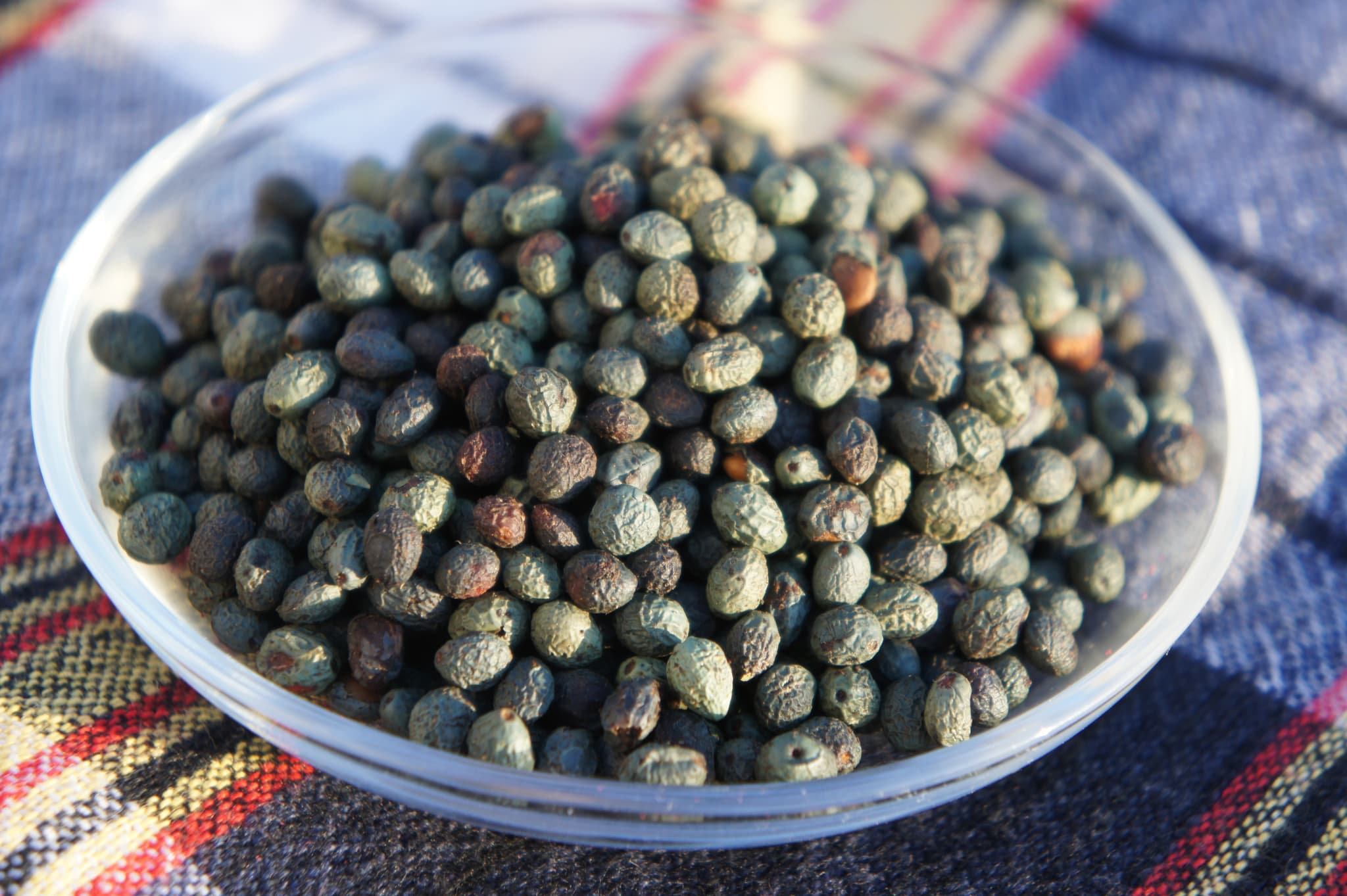 #7 Menengic Coffee — Top 10 Turkish Tea & Coffee Culture Experiences 2026