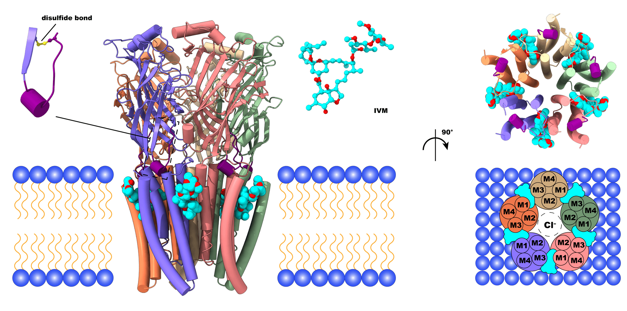 #3 AlphaFold 3 Solves Protein-Drug Interaction Problem — Top 10 Most Significant Scientific Discoveries of 2025