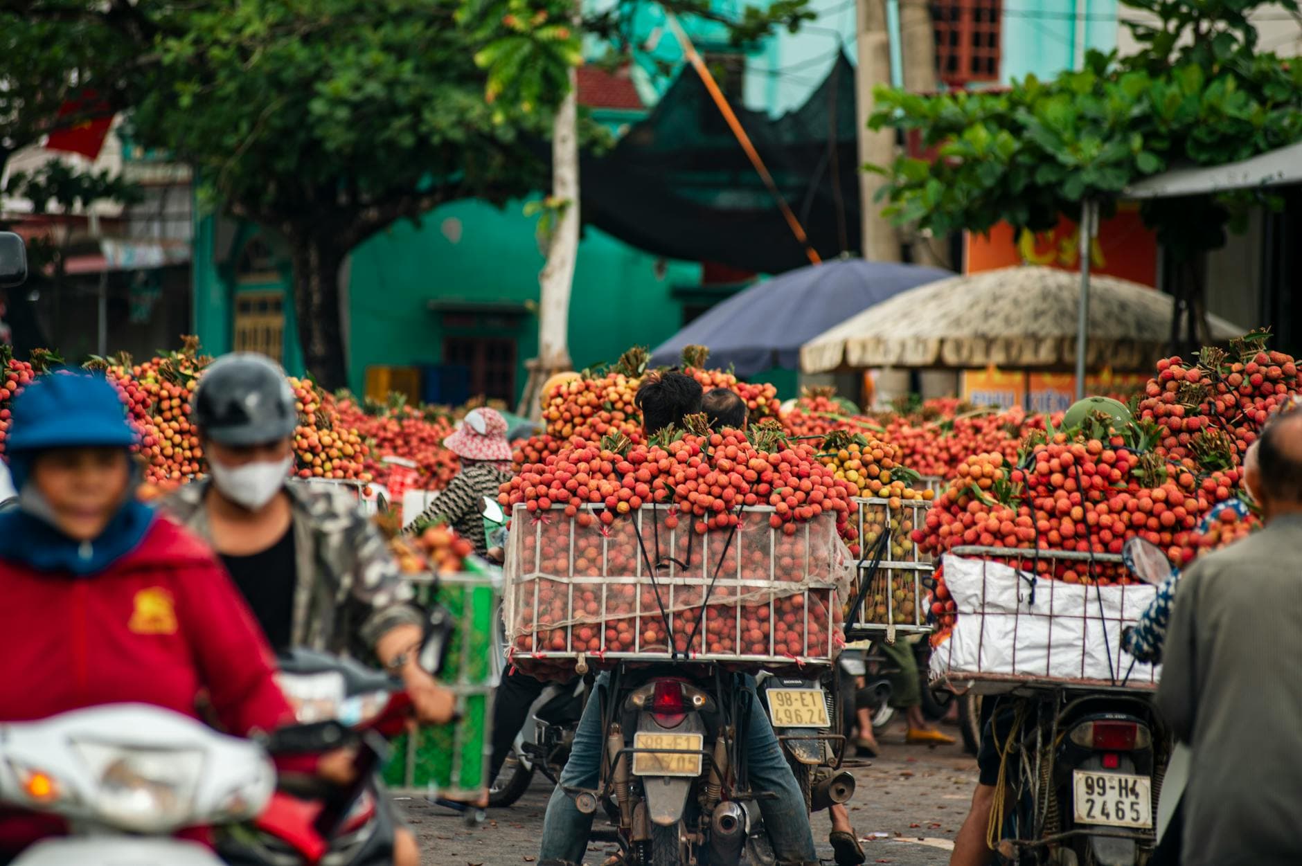 #9 Vietnam — Top 10 Best Countries for Digital Nomads 2025
