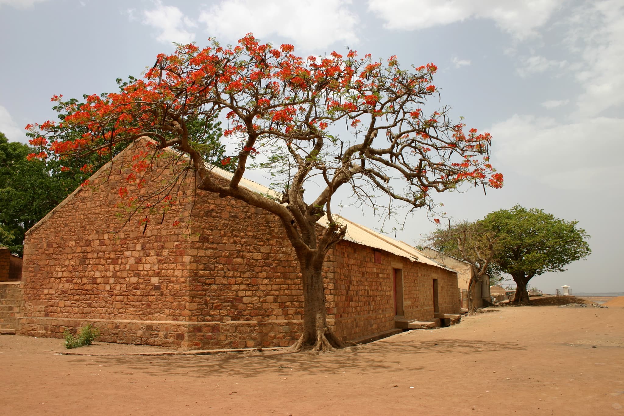 #9 People Tree — Top 10 Best Sustainable Fashion Brands of 2025