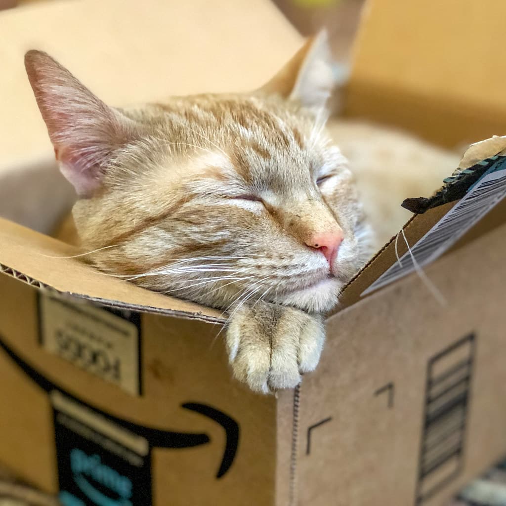#3 Amazon Prime — Top 10 Most Popular Subscription Services of 2025