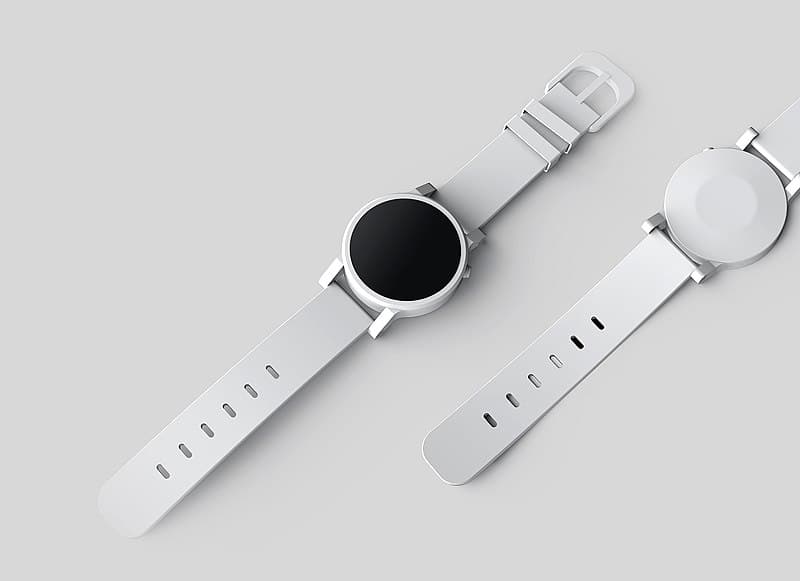 #6 Pet Tech and Wearables — Top 10 Pet Trends to Watch in 2025
