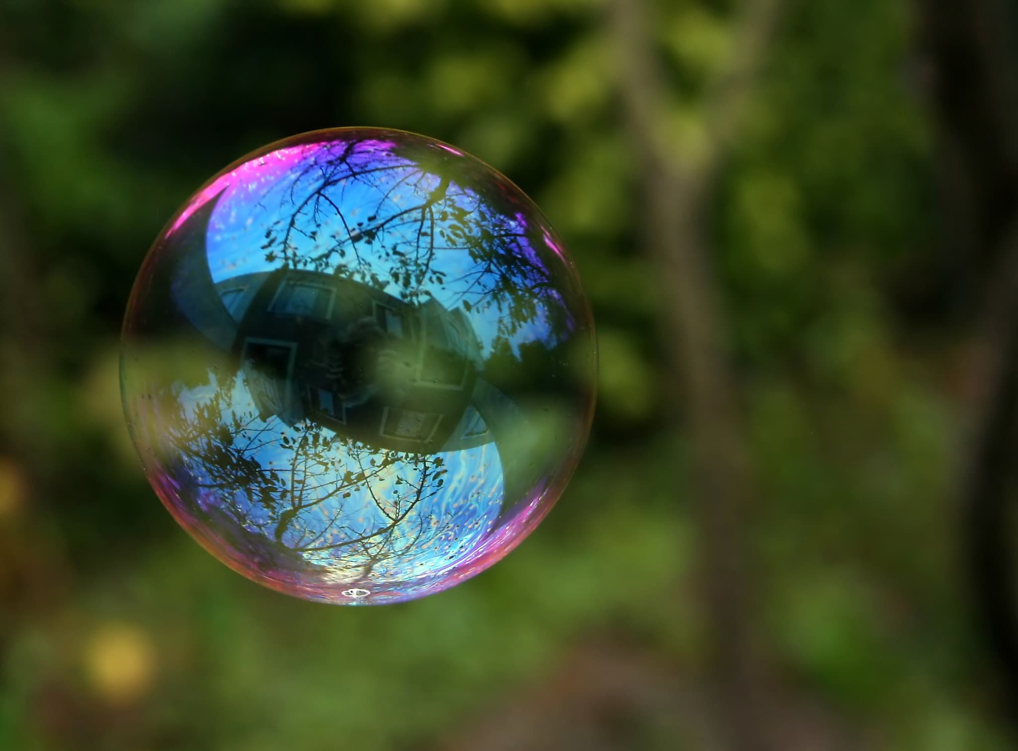 #2 Bubble — Top 10 Best No-Code and Low-Code Platforms of 2025