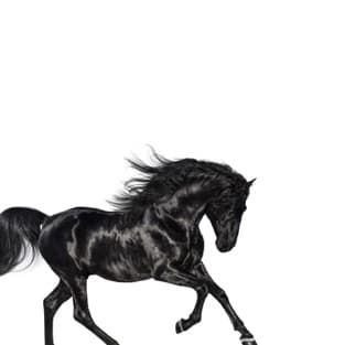 #10 Old Town Road — Lil Nas X ft. Billy Ray Cyrus (2019) — Top 10 Best Songs of the 2010s