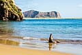 #4 Galapagos National Park — Top 10 National Parks in the World (2026)