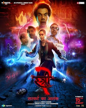 #2 Stree 2 — Top 10 Hottest Bollywood Films of 2025: Box Office Hits You Must Watch