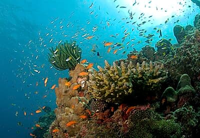 #9 Andaman and Nicobar Islands — Top 10 Travel Destinations in India