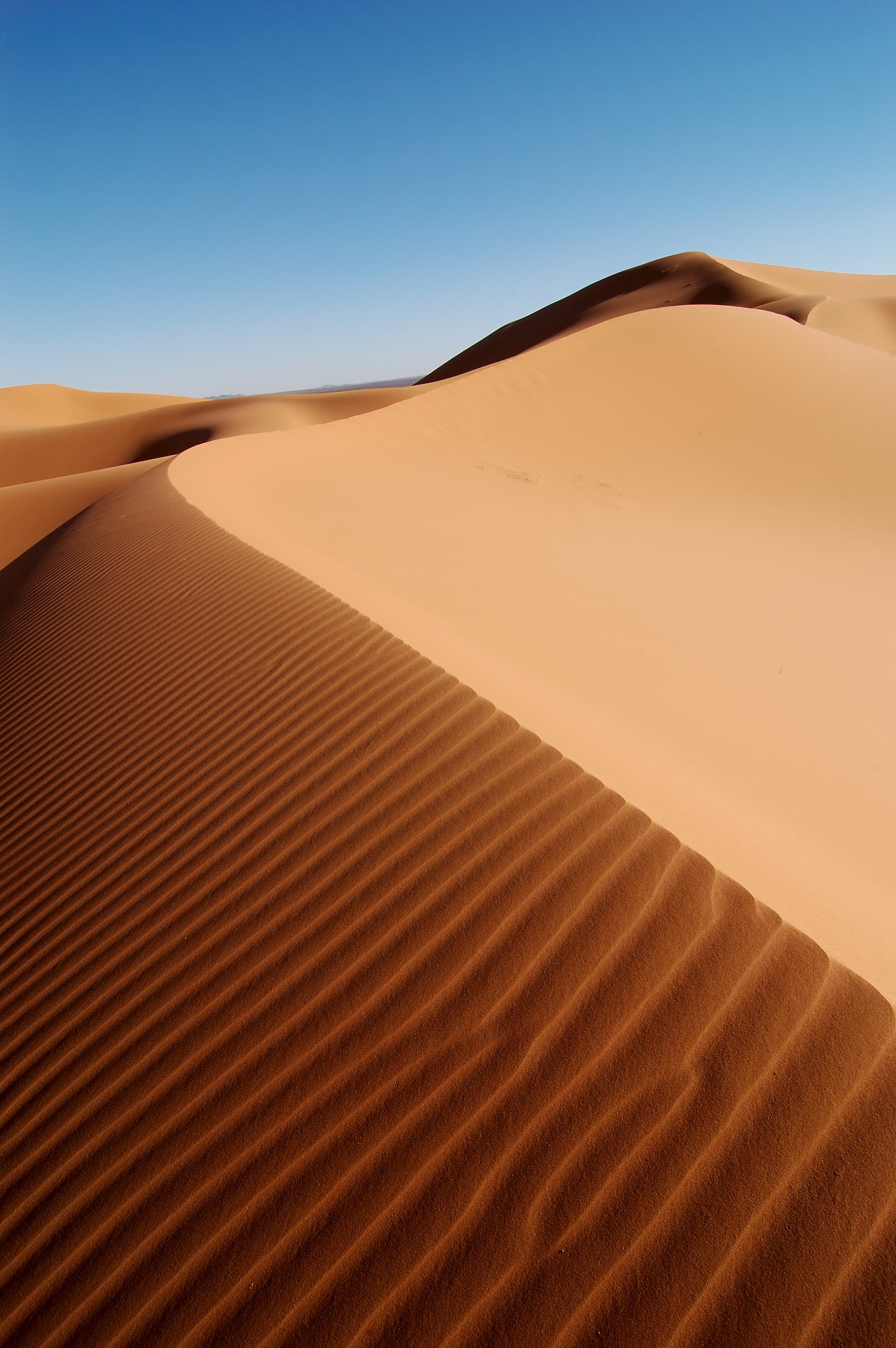 #3 M-KOPA — Top 10 African Tech Startups of 2025