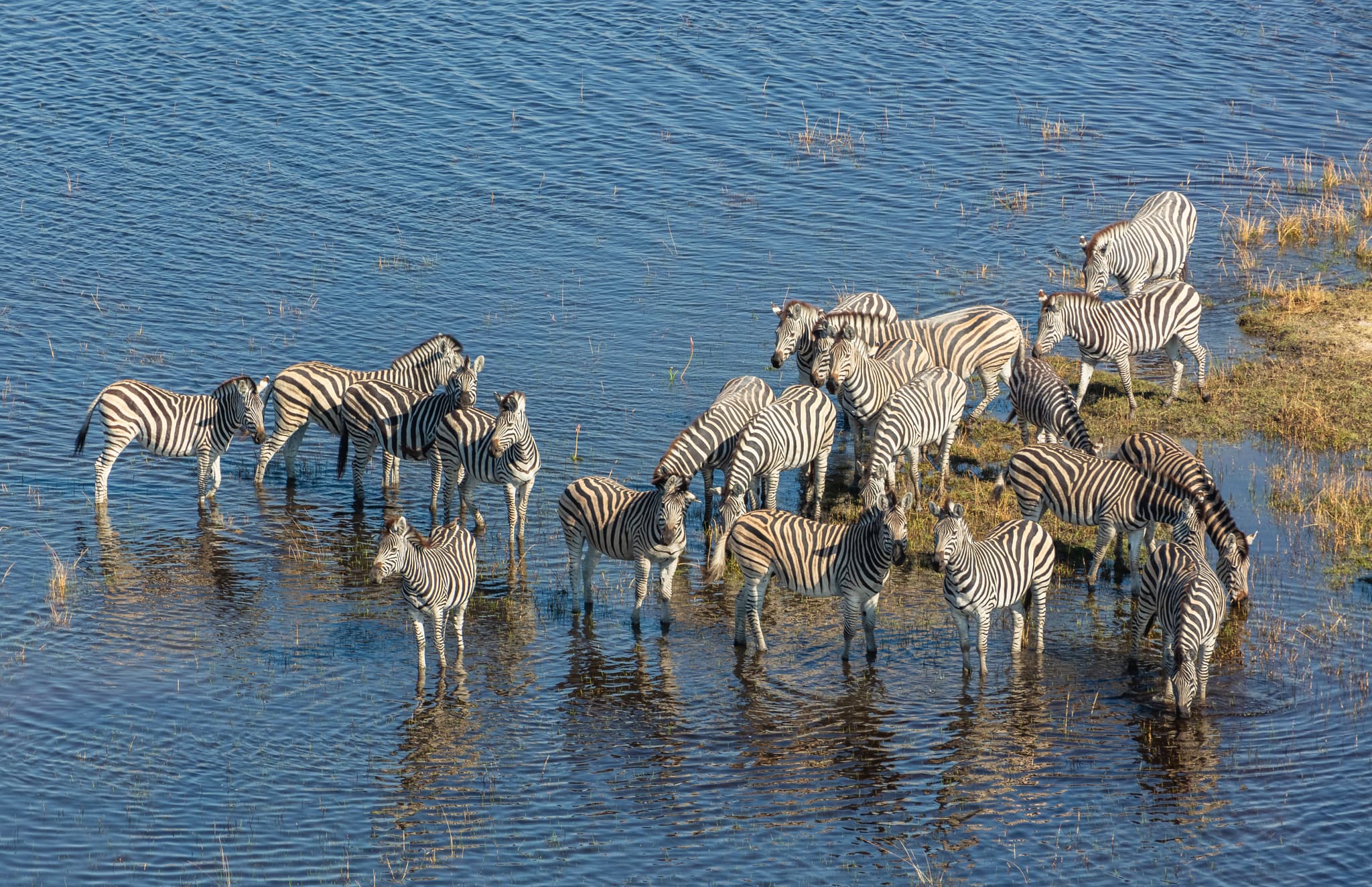 #7 Okavango Delta, Botswana — Top 10 African Travel Destinations