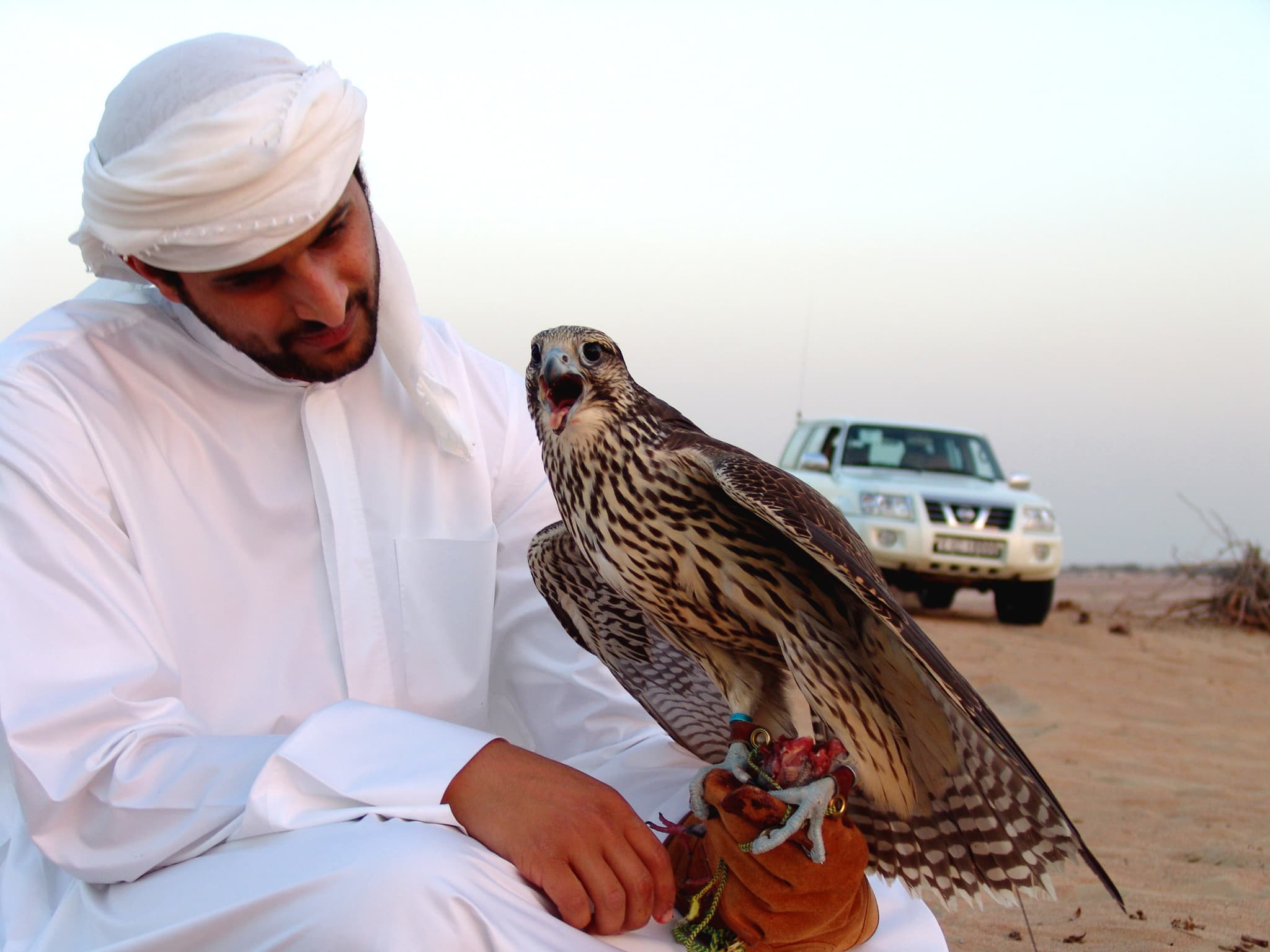 #7 Theeb (2014) — Top 10 Arabic Films in Cinema History