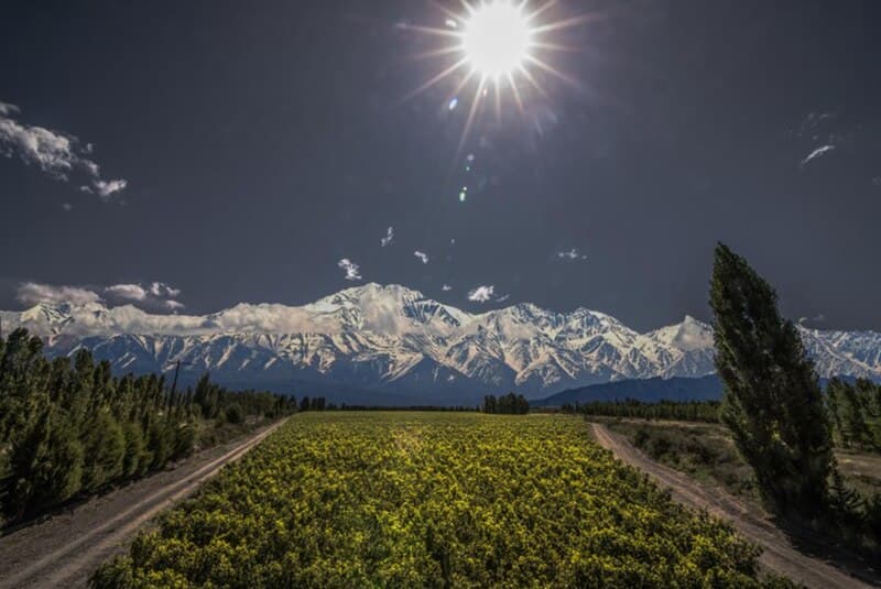 #3 Catena Zapata Adrianna Vineyard — Top 10 Argentine Wines and Wine Regions