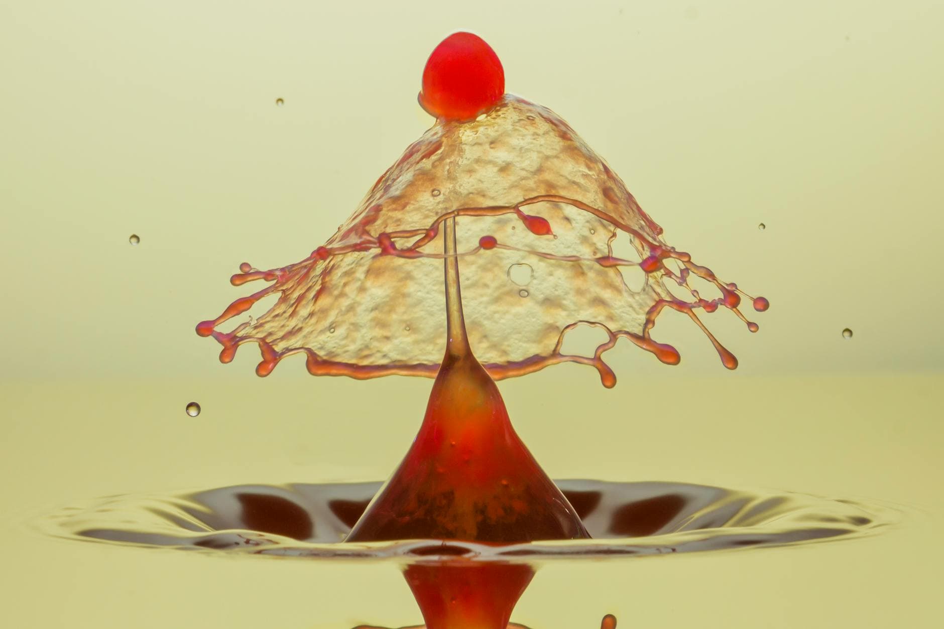 #1 Topological Field Theory Plus Local Lorentz Symmetry is Gravity — Physics Papers Challenging What We Think We Know