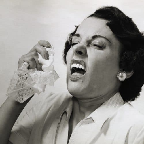 #3 Woman sneezes out maggots after fly larvae get trapped in her deviated septum — Top 10 Ars Technica — Latest — March 14, 2026