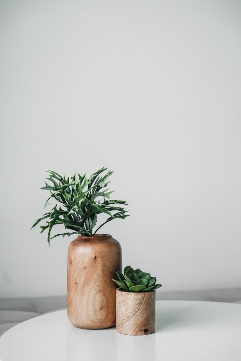 #5 Society6 — Top 10 Best Online Furniture & Home Decor Stores