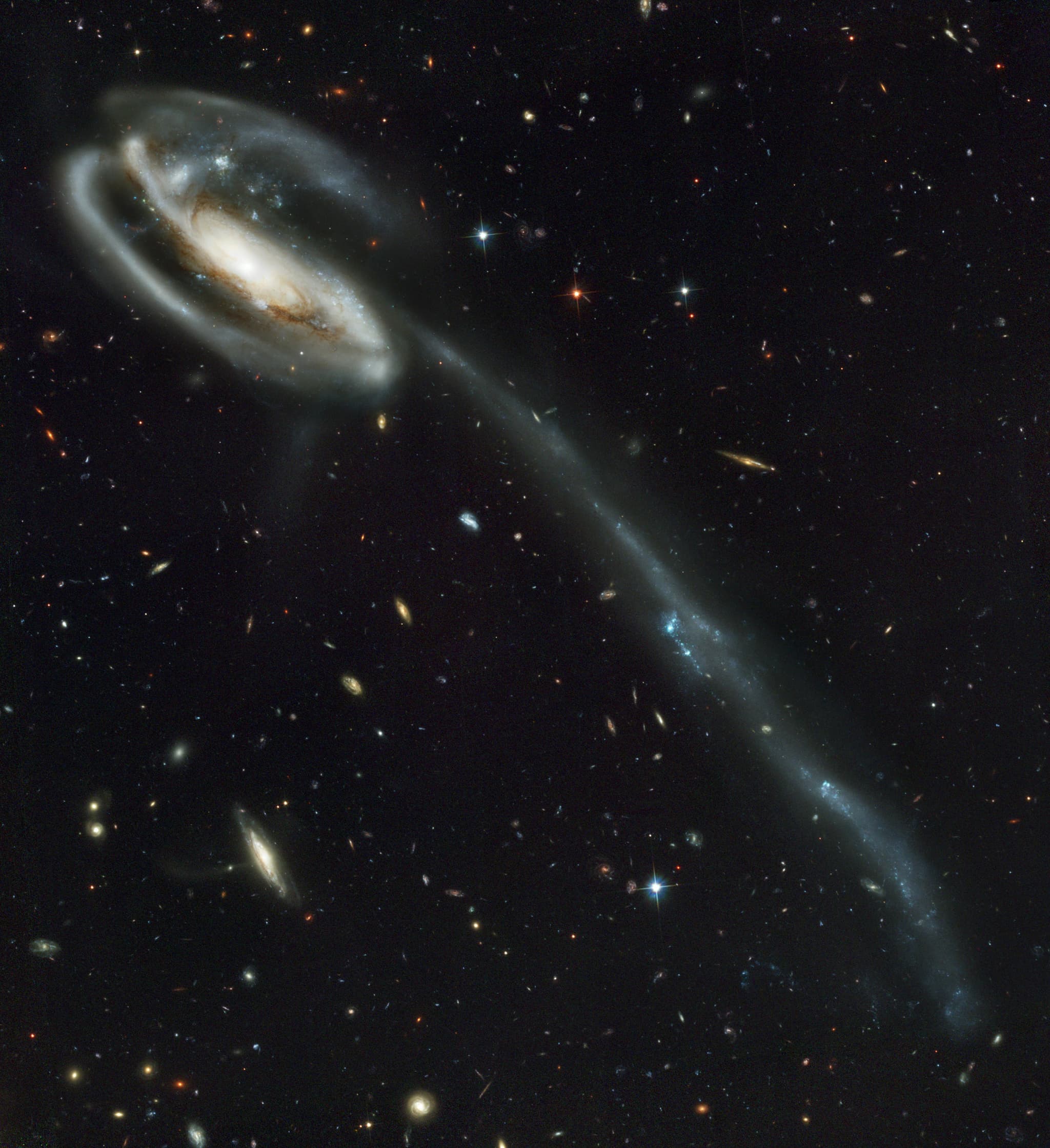 #6 The Tadpole Galaxy — Hubble's Advanced Camera for Surveys First Light — Hubble's Greatest Hits: 35 Years of Universe-Altering Images
