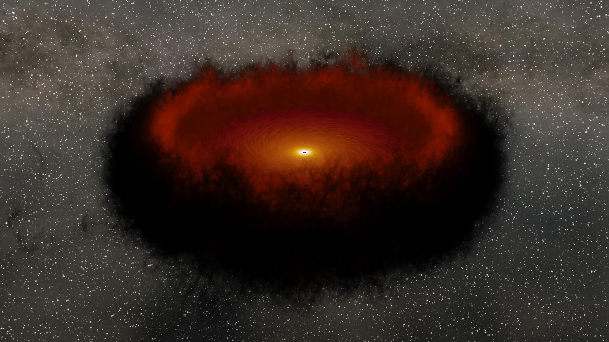 #5 Echo Mapping in a Black Hole Accretion Disk — Reverberation Mapping — Cosmic Monsters: Black Holes and the Images That Finally Revealed Them