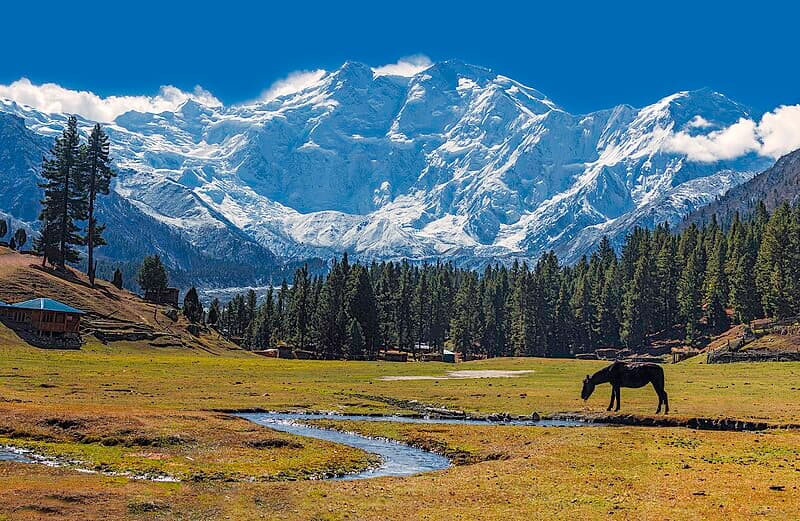#9 Nanga Parbat — The World's Highest Mountains