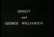 #2 20,000 Leagues Under the Sea (1916) — Ghosts on Screen: The Most-Watched Silent Films of the Archive