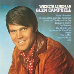 #8 Wichita Lineman — Glen Campbell — Heartache and Highways: 10 Country Albums Built to Last