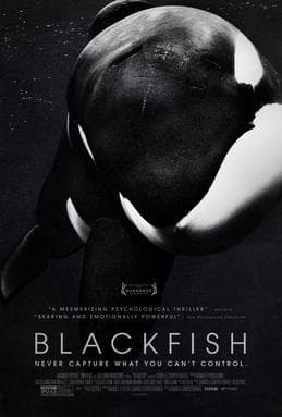 #3 Blackfish — Top 10 Most Influential Documentaries of All Time