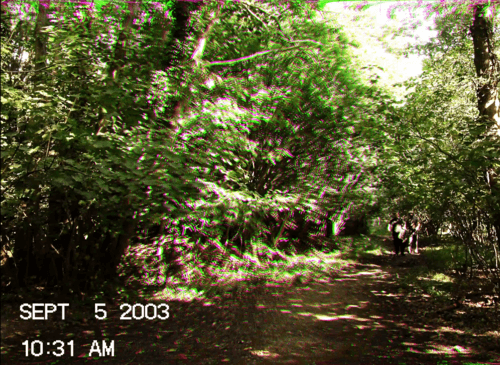 #7 The Taking of Deborah Logan — Top 10 Found Footage Horror Films That Feel Too Real