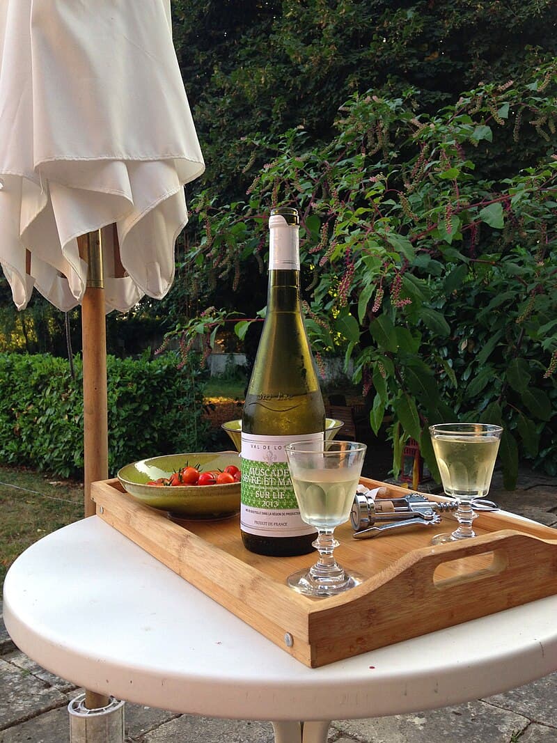 #2 Muscadet — Top 10 Wines That Sommeliers Actually Drink at Home