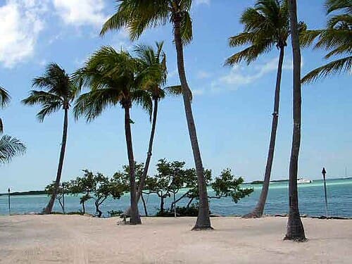 #1 Florida Keys — Top 10 Fishing Destinations in North America