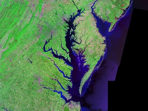#5 Chesapeake Bay (Maryland) — Top 10 Fishing Destinations in North America
