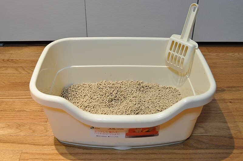 #3 PetSafe ScoopFree Self-Cleaning Litter Box — Top 10 Pet Products That Went Viral for a Reason