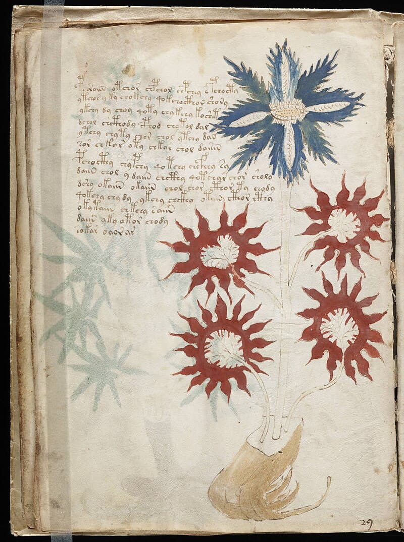 #6 The Voynich Manuscript — Top 10 Unsolved Mysteries That Still Haunt Investigators