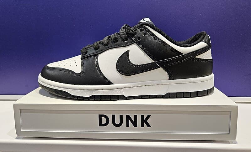 #6 Nike Dunk (1985) — Top 10 Sneakers That Changed Culture Forever