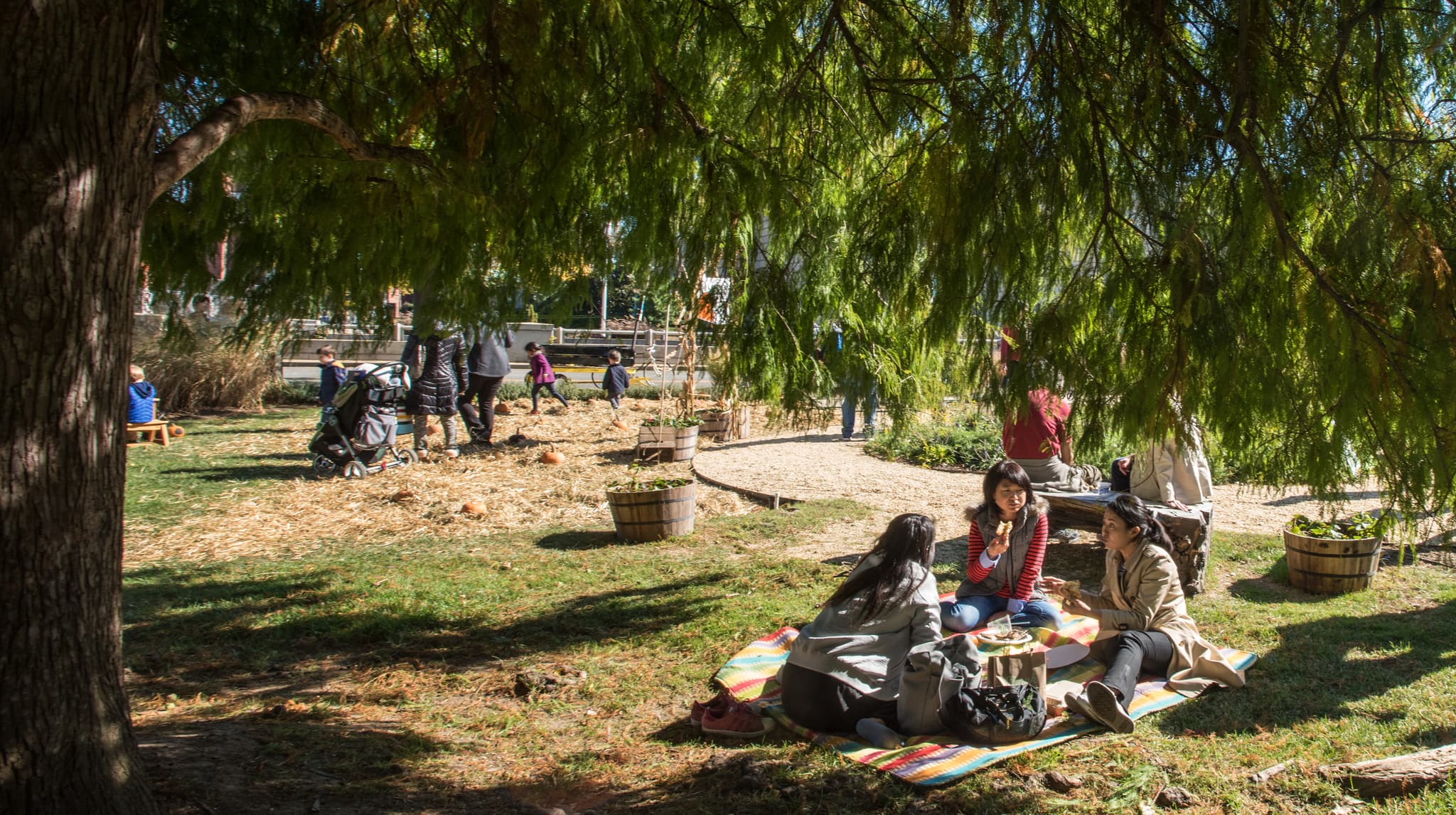 #4 Farmers Market + Picnic — Top 10 First Date Ideas That Aren't Dinner and a Movie